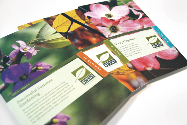 Comella Design Group | American Plant Newsletters