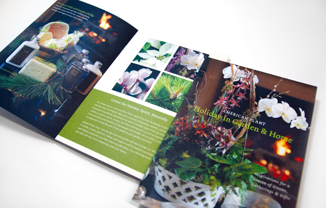 Comella Design Group | American Plant Holiday Catalog
