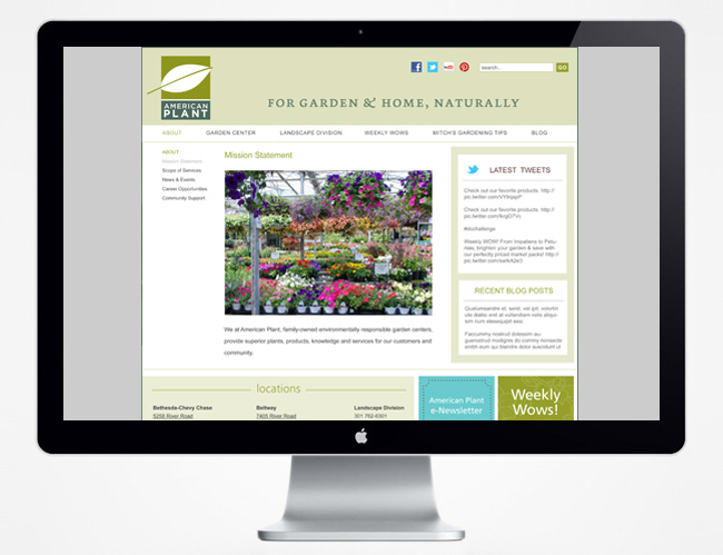 Comella Design Group | American Plant Website