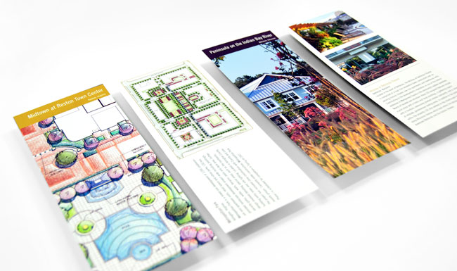Comella Design Group | Lewis Scully Gionet Brochure